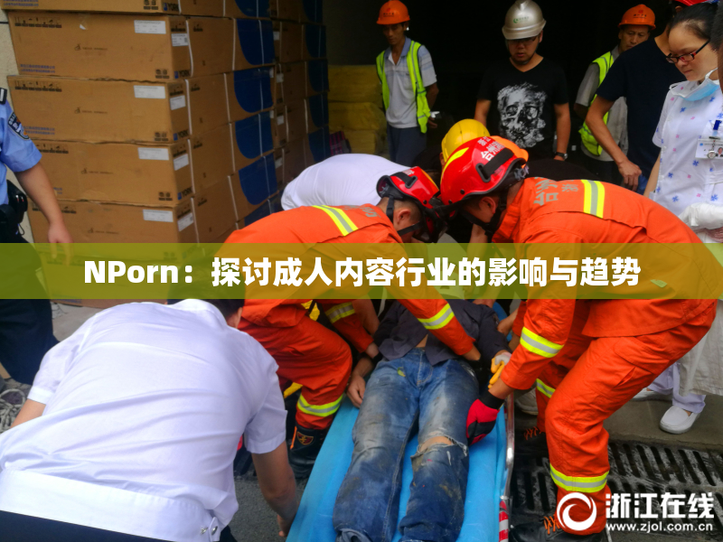 ΝPorn：探讨成人内容行业的影响与趋势