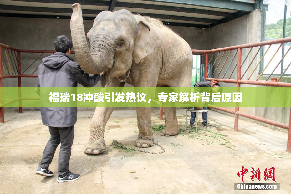 福瑞18冲酸引发热议，专家解析背后原因