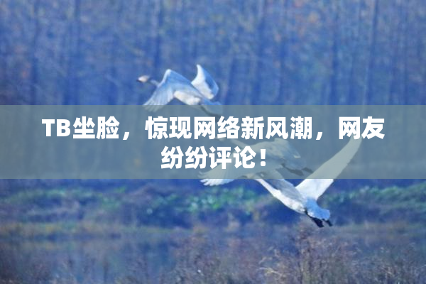 TB坐脸，惊现网络新风潮，网友纷纷评论！