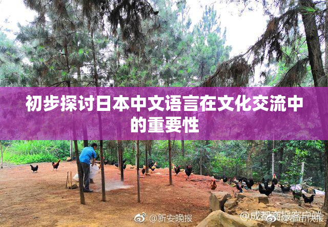 初步探讨日本中文语言在文化交流中的重要性
