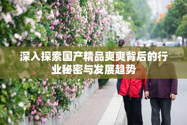 深入探索国产精品爽爽背后的行业秘密与发展趋势