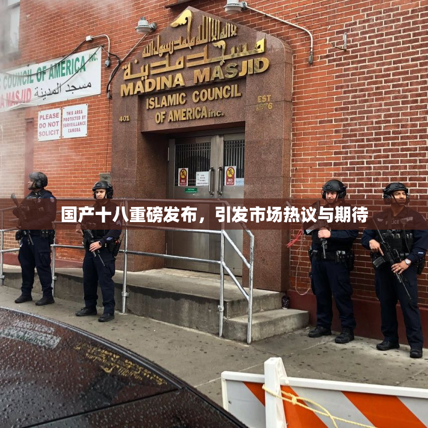 国产十八重磅发布，引发市场热议与期待