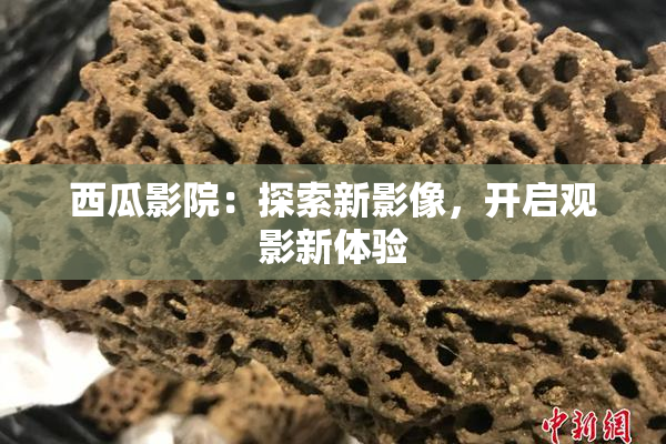 西瓜影院：探索新影像，开启观影新体验