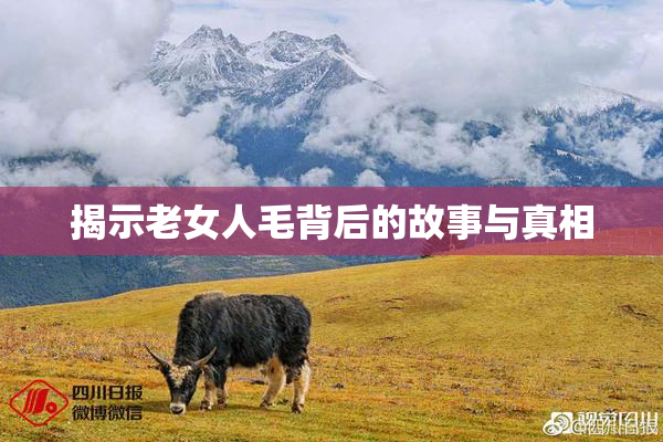 揭示老女人毛背后的故事与真相