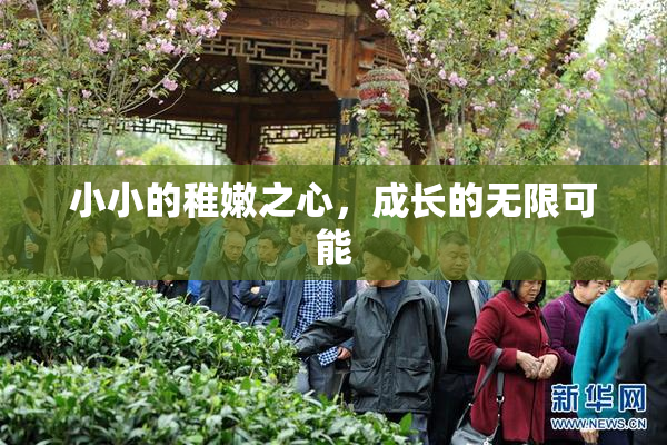 小小的稚嫩之心，成长的无限可能