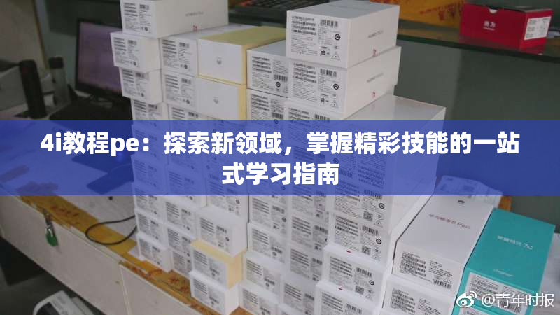 4i教程pe：探索新领域，掌握精彩技能的一站式学习指南