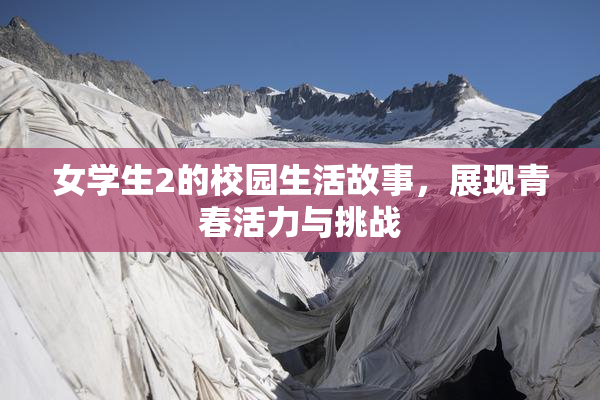 女学生2的校园生活故事，展现青春活力与挑战