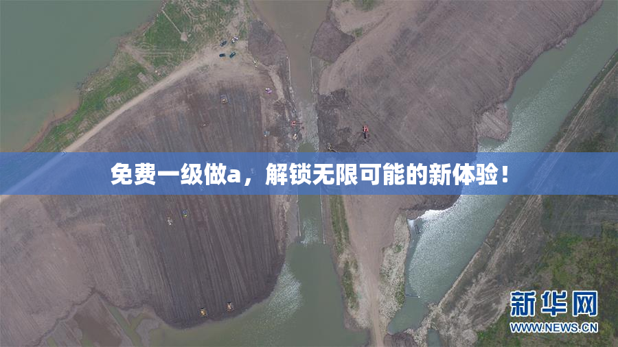 免费一级做a，解锁无限可能的新体验！