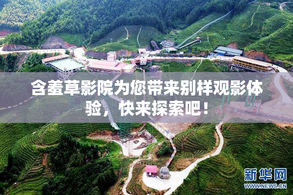 含羞草影院为您带来别样观影体验，快来探索吧！