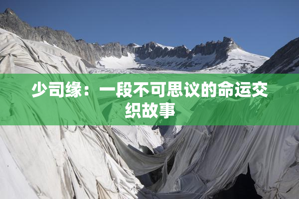 少司缘：一段不可思议的命运交织故事