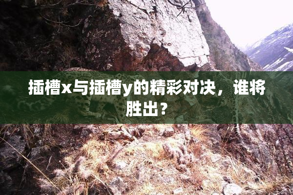 插槽x与插槽y的精彩对决，谁将胜出？