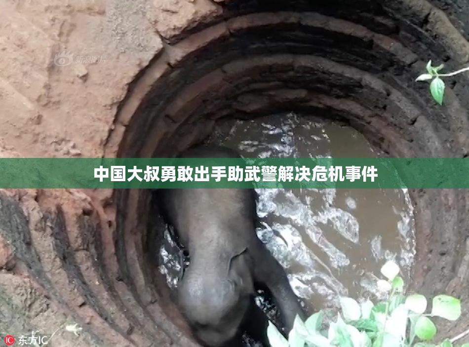 中国大叔勇敢出手助武警解决危机事件