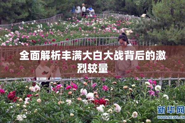 全面解析丰满大白大战背后的激烈较量