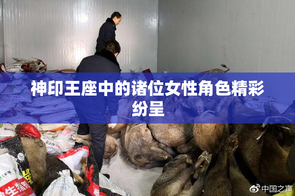 神印王座中的诸位女性角色精彩纷呈