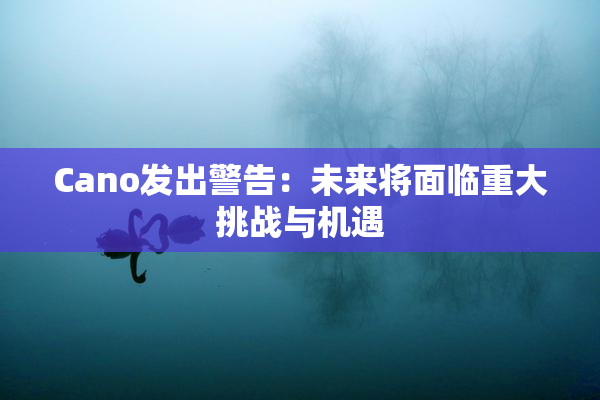 Cano发出警告：未来将面临重大挑战与机遇