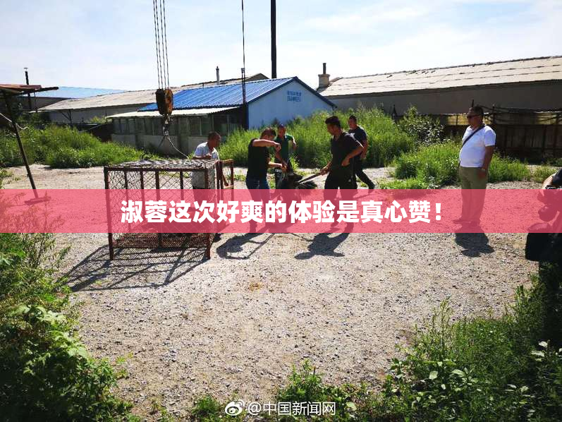 淑蓉这次好爽的体验是真心赞！