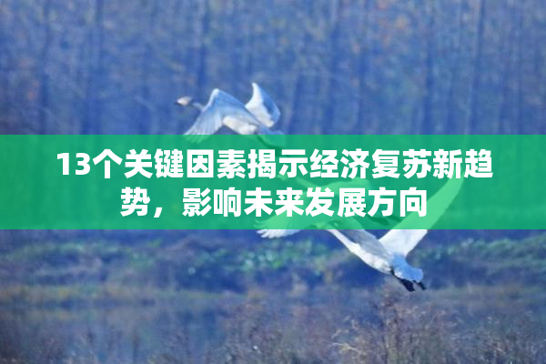 13个关键因素揭示经济复苏新趋势，影响未来发展方向