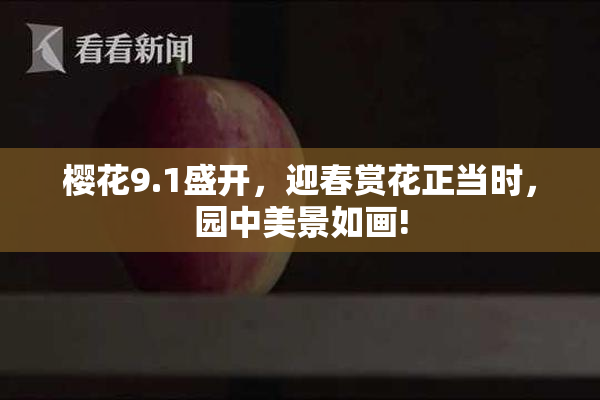 樱花9.1盛开，迎春赏花正当时，园中美景如画!