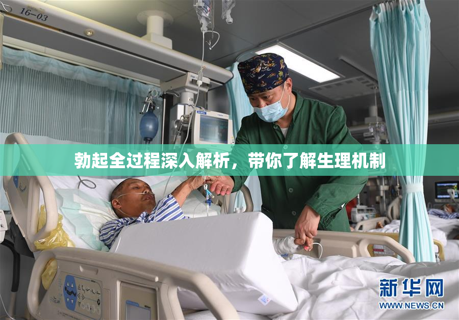 勃起全过程深入解析，带你了解生理机制
