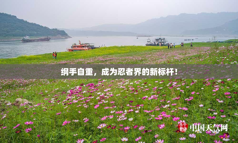 纲手自重，成为忍者界的新标杆！