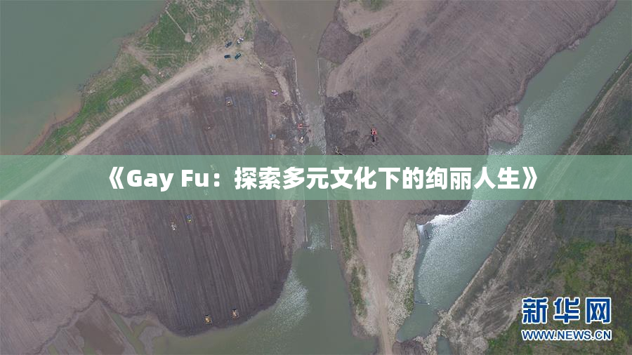 《Gay Fu：探索多元文化下的绚丽人生》