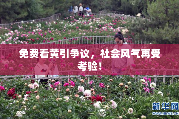 免费看黄引争议，社会风气再受考验！