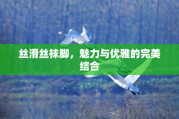 丝滑丝袜脚，魅力与优雅的完美结合