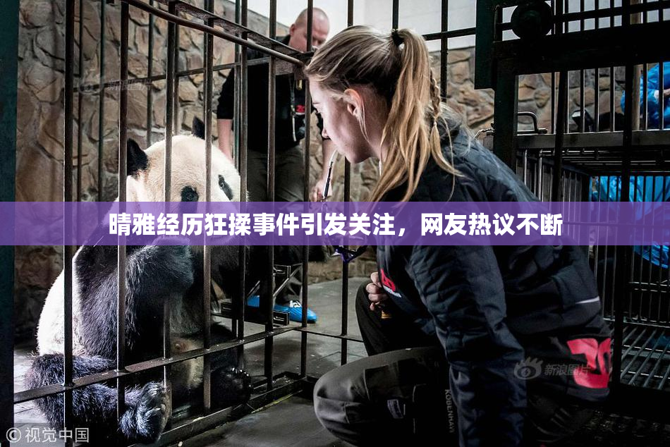 晴雅经历狂揉事件引发关注，网友热议不断