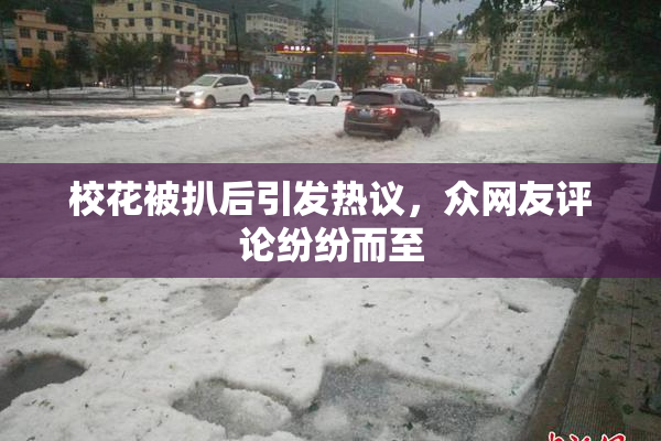 校花被扒后引发热议，众网友评论纷纷而至