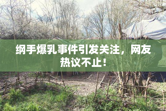纲手爆乳事件引发关注，网友热议不止！
