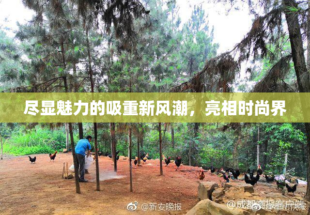 尽显魅力的吸重新风潮，亮相时尚界