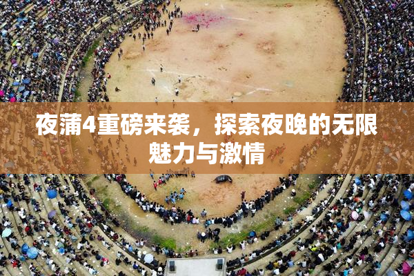 夜蒲4重磅来袭，探索夜晚的无限魅力与激情