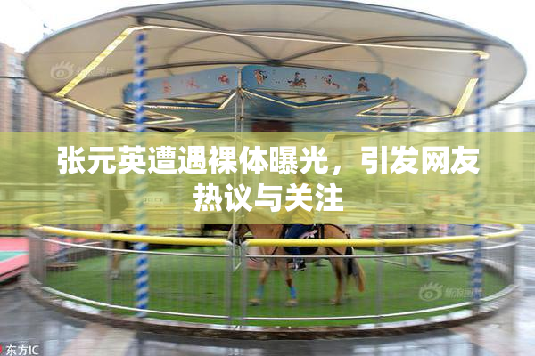 张元英遭遇裸体曝光，引发网友热议与关注
