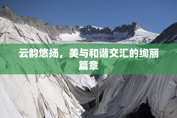 云韵悠扬，美与和谐交汇的绚丽篇章