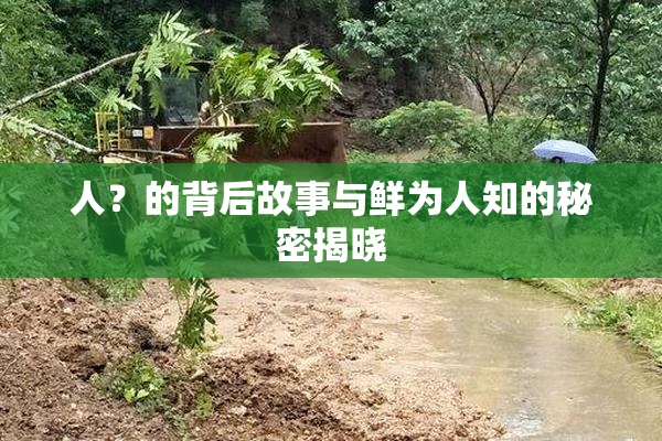 人？的背后故事与鲜为人知的秘密揭晓