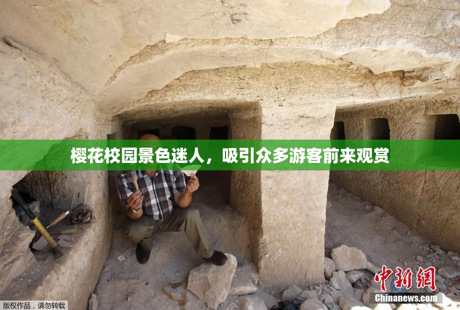 樱花校园景色迷人，吸引众多游客前来观赏