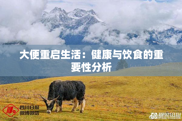 大便重启生活：健康与饮食的重要性分析