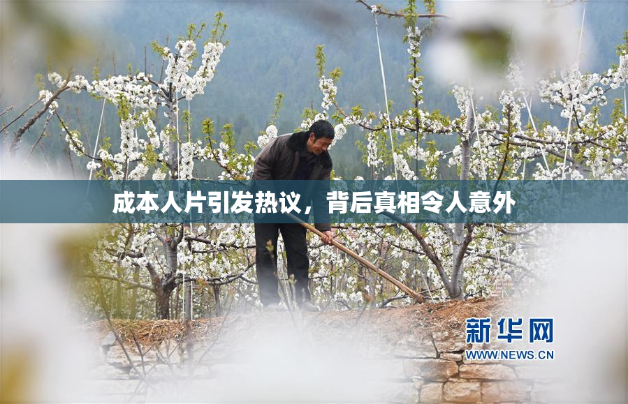 成本人片引发热议，背后真相令人意外