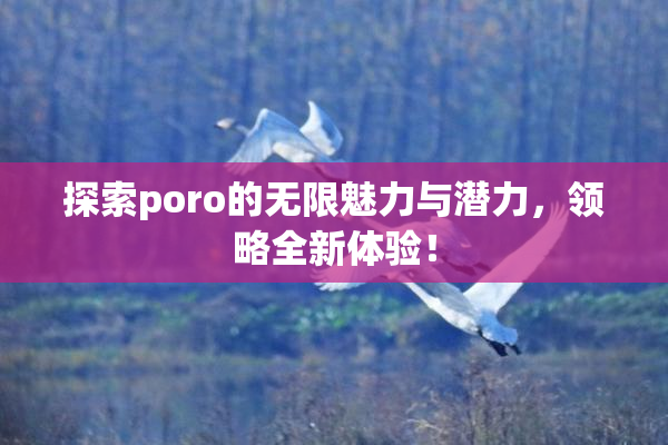 探索poro的无限魅力与潜力，领略全新体验！
