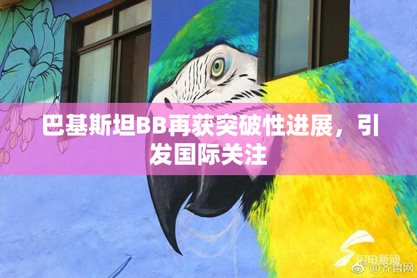 巴基斯坦BB再获突破性进展，引发国际关注