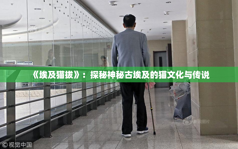 《埃及猫拔》：探秘神秘古埃及的猫文化与传说