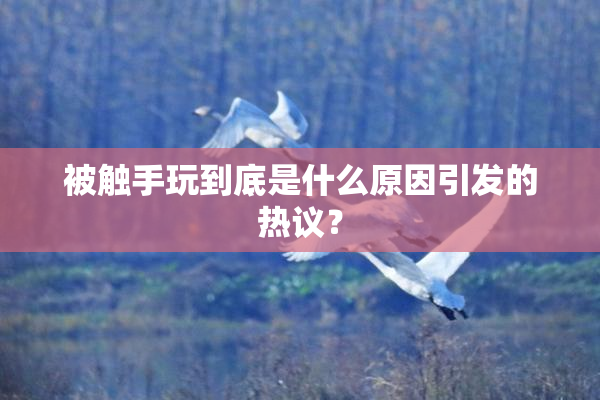 被触手玩到底是什么原因引发的热议？