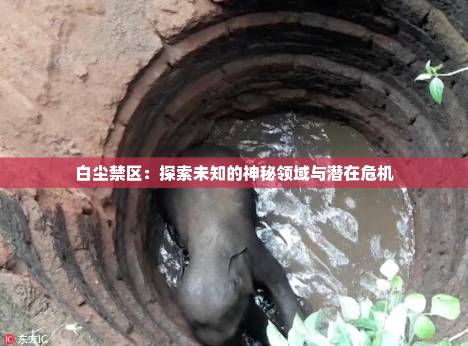 白尘禁区：探索未知的神秘领域与潜在危机