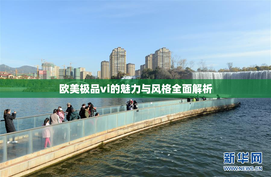欧美极品vi的魅力与风格全面解析