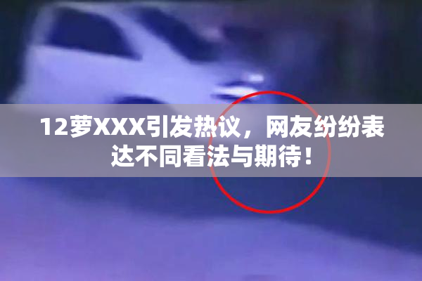 12萝XXX引发热议，网友纷纷表达不同看法与期待！