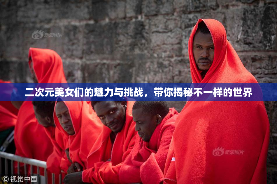 二次元美女们的魅力与挑战，带你揭秘不一样的世界