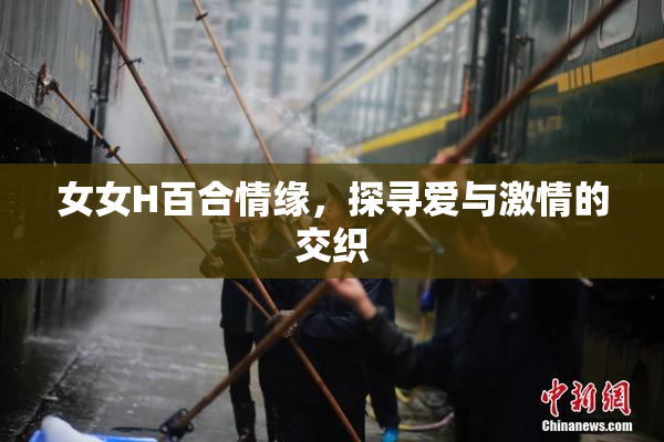 女女H百合情缘，探寻爱与激情的交织