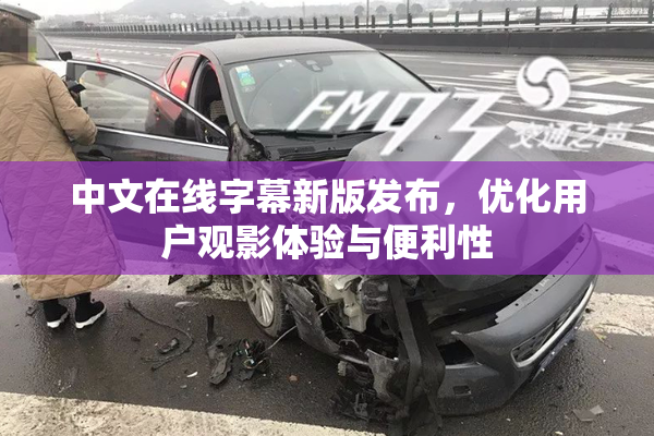 中文在线字幕新版发布，优化用户观影体验与便利性