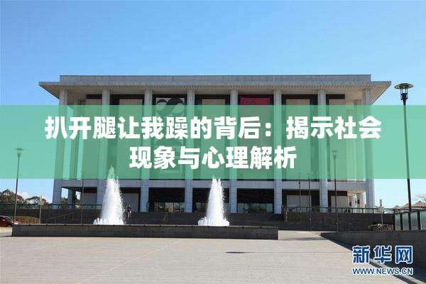 扒开腿让我躁的背后：揭示社会现象与心理解析