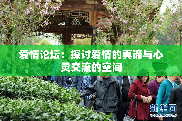 爱情论坛：探讨爱情的真谛与心灵交流的空间